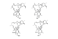 Milbemycin oxime 129496-10-2