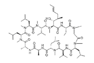 Cyclosporin A 59865-13-3