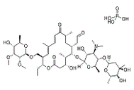 Tylosin phosphate1405-53-4