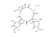 Gamithromycin 145435-72-9